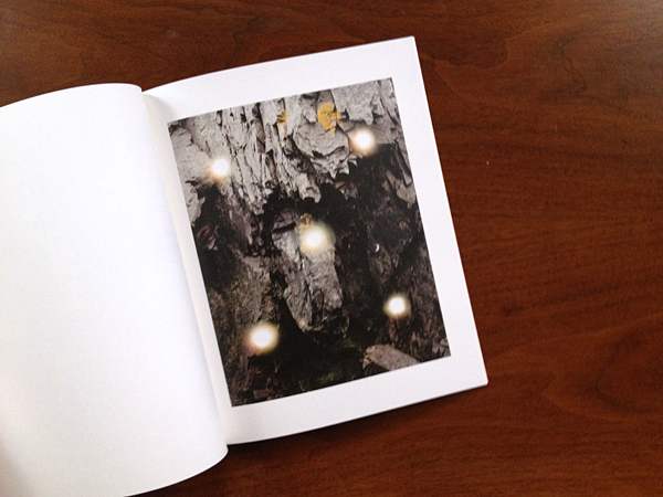 hannahwhitaker_imaginarylandscape03