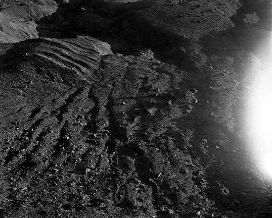 transfigurations-19