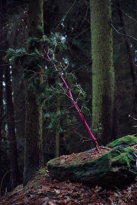 02_Albdorf_Notitle-ImnotyetoutoftheWoods