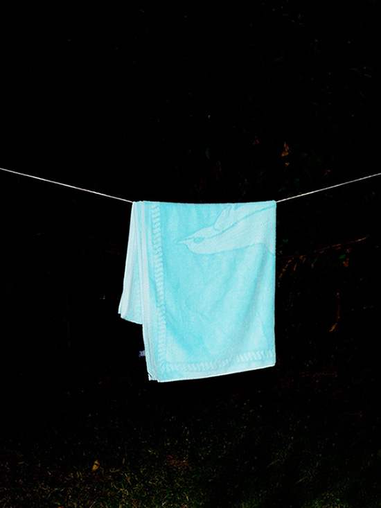 The-past-is-a-strange-place-2011-ongoing