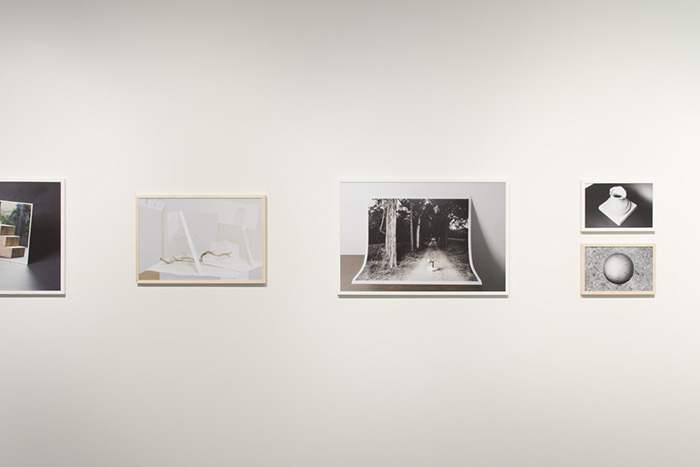 Bagby_Disjecta_09
