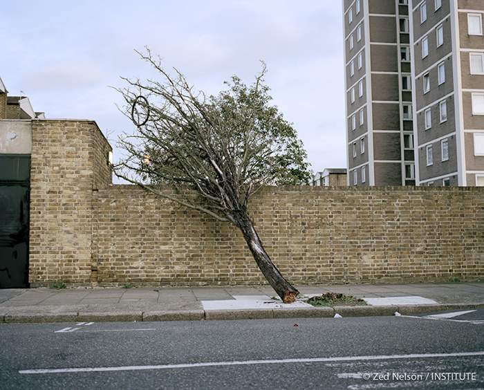 From the series: "Hackney - A Tale of Two Cities"