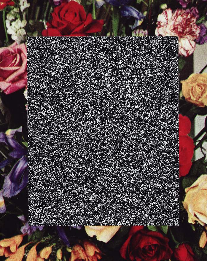 flower_lazaruspit_300dpi