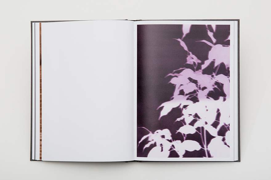 Paper Journal, Daniel Shea Daniel Shea, Bilsner, IL book spread