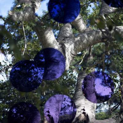 Roxana Azar – Cluster/Eclipse