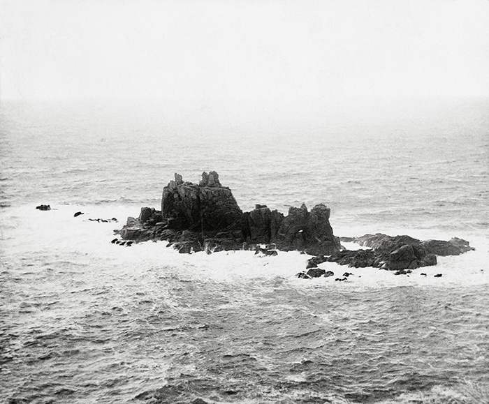 tvod_island