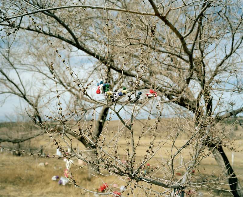 Paper Journal_Kalpesh Lathigra_Lost in the Wilderness_07