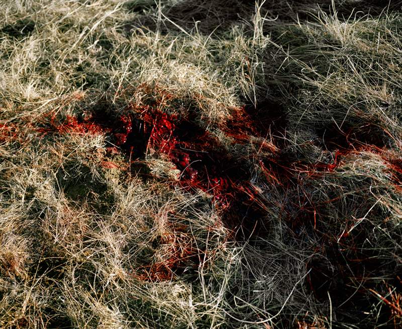 Paper Journal_Kalpesh Lathigra_Lost in the Wilderness_12
