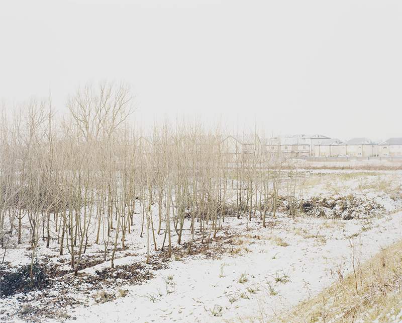 Untitled. Jan 2011.