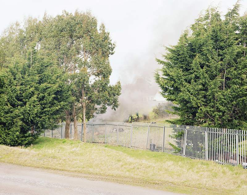 Fire Burning By Trees. June 2012.