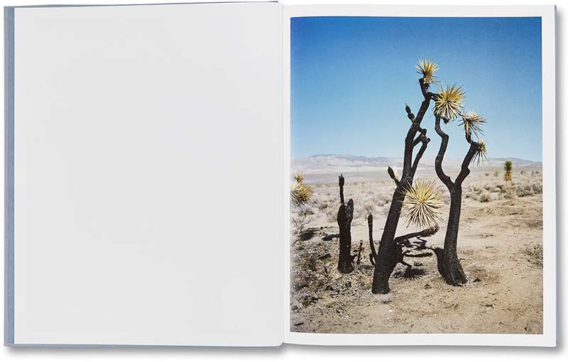 zzyzx_gregory-halpern-1