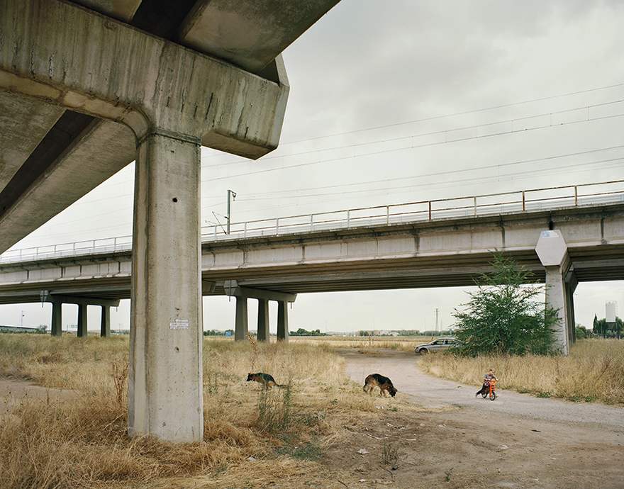 The Dialogue of the Dogs, 2015