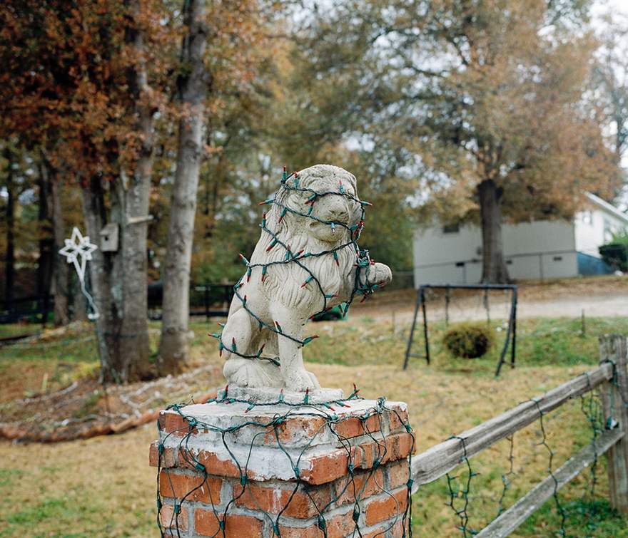 An outdoor lion statue, with fairy lights wrapped around it