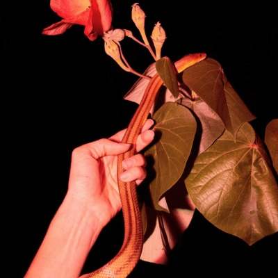 Instagram Takeover – Balarama Heller