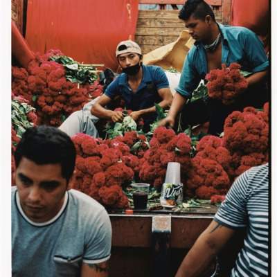 Instagram Takeover – Pia Riverola