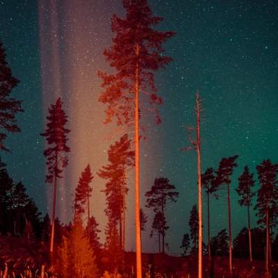 Maria Lax - Some Kind of Heavenly Fire