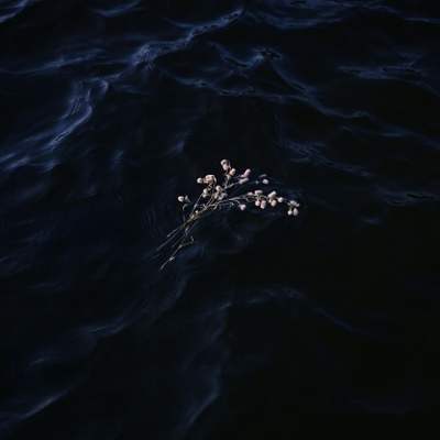 Ryan Hopkinson - Midsommar