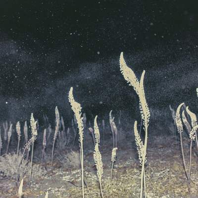 Yorgos Yatromanolakis - The Splitting of the Chrysalis & the Slow Unfolding of the Wings