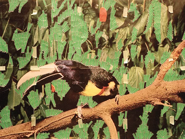 Toucan in Nature (Post it notes), 2013,