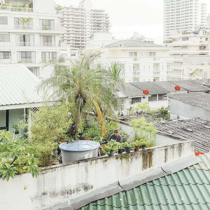 Paper Journal, Adam Birkan, Bangkok landscape