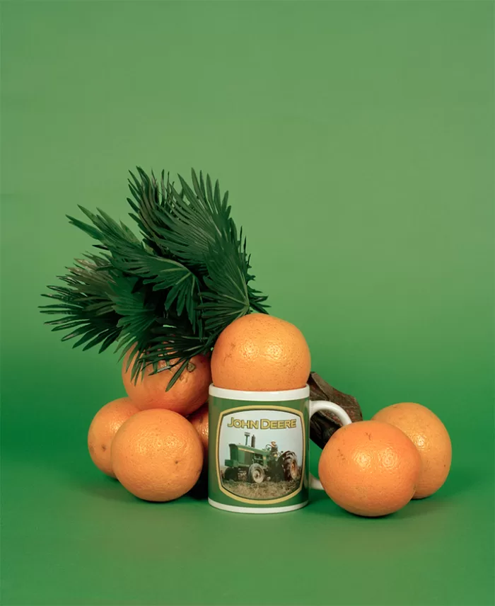 Still life taken by photographer Molly Matalon