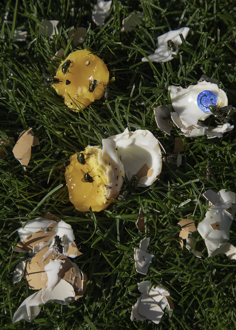 A hard boiled egg lies smashed on the grass, flies have already gathered to feast on the yolk.