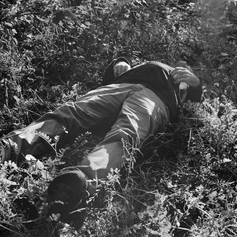The body of a man lies supine amongst a tangle of undergrowth.