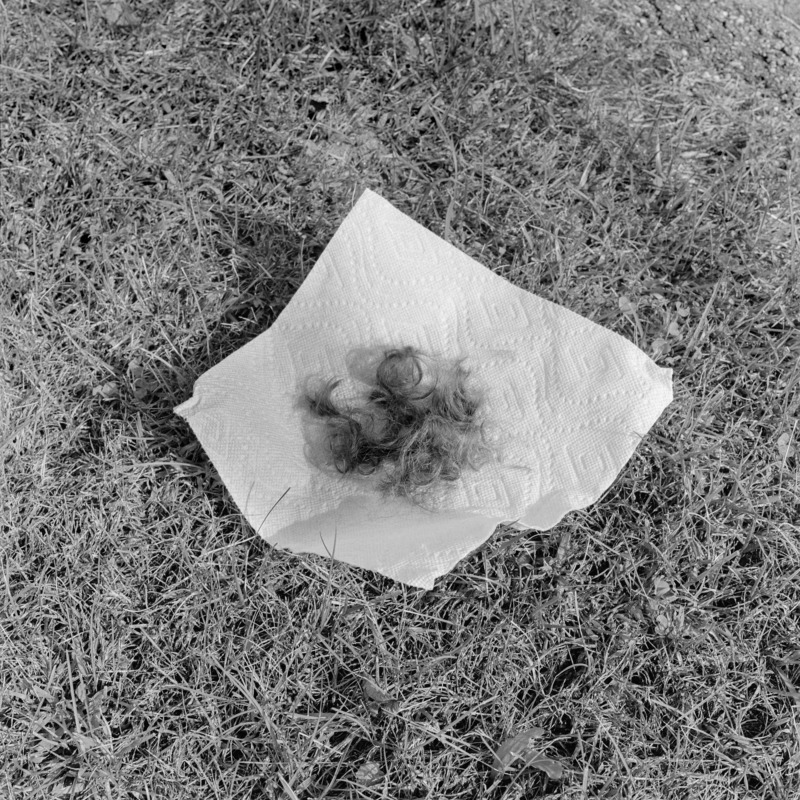 A ball of cut hair on a sheet of kitchen towel.