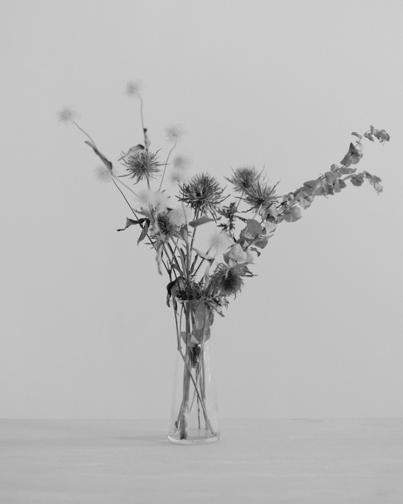A thin vase of flowers stands in sharp contrast against a grey background.