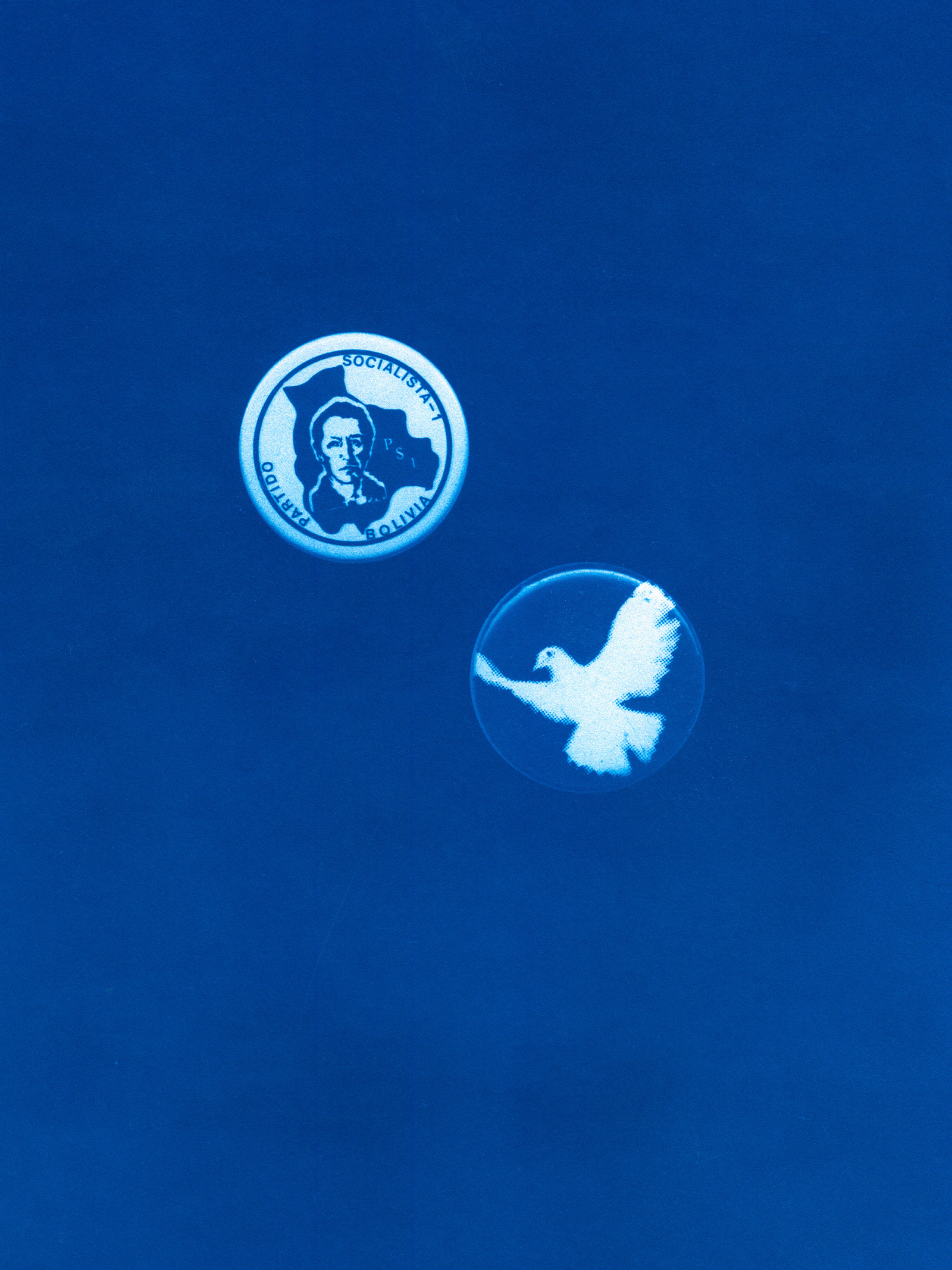 A cyanotype of two pin badges; one for the Bolivian socialist party, the other a dove of peace.